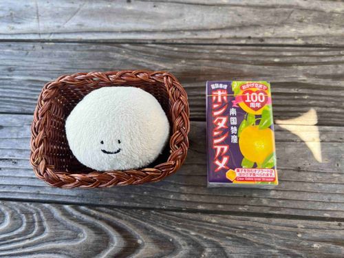 ボンタンアメと一緒