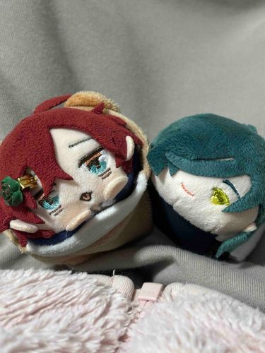 お友達のにっかりもちちゃんとお写真パシャリもちよぉ✨✨