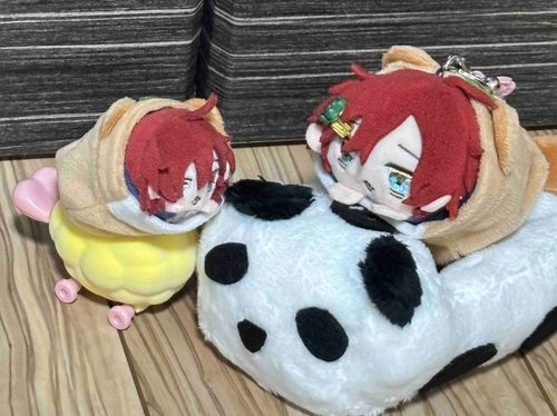 パンダさんのマイカー乗ってまめもちのソイちゃんとお出かけしたいもち✨✨
