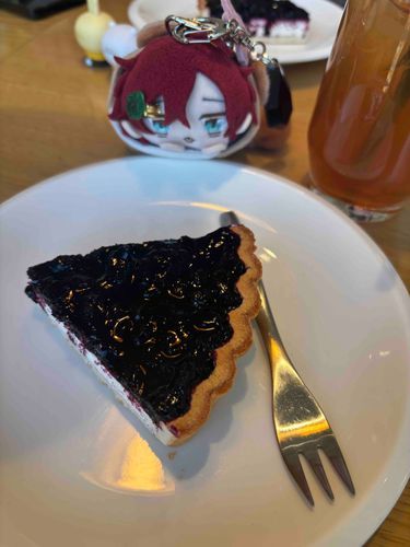 ケーキ✨✨ケーキ✨✨ケーキもちよぉ✨✨

ビルベリーのタルト美味しかったもち。
