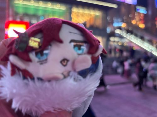新宿の歌舞伎町タワーもちよぉ✨✨
ネオンギラつく眠らない街もち！！