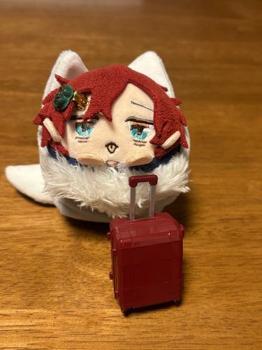 どぽー用のコロコロ買って貰ったもちよぉ✨✨
これで、旅行もバッチリ👌もちよぉ✨✨
…旅行に行く予定はないもちけどねぇ…。