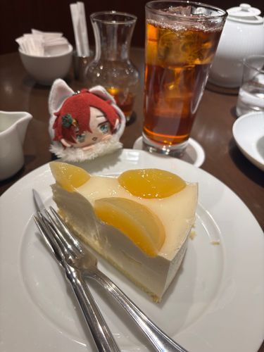 ハーブスさんの白桃のレアチーズケーキとココナッツアイスティーもちよぉ！
アイスティーめっちゃココナッツのフレーバーだったもちよぉ✨✨

この日、もちぬしは久しぶりに会うお友達と楽しい時間を過ごしたみたいもちよぉ🎶