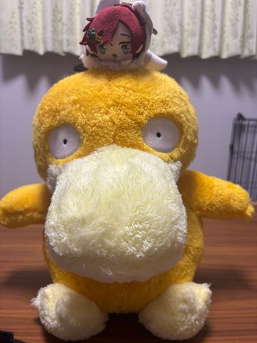 大きなコダックちゃんゲットもちよぉ✨✨