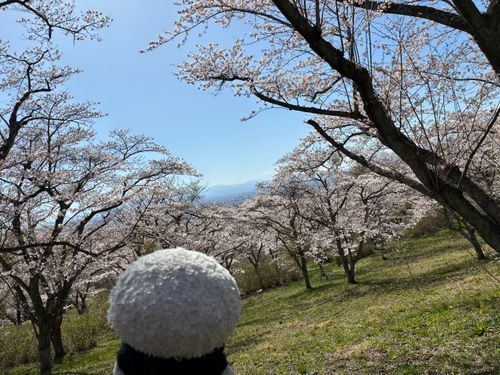 ポスト