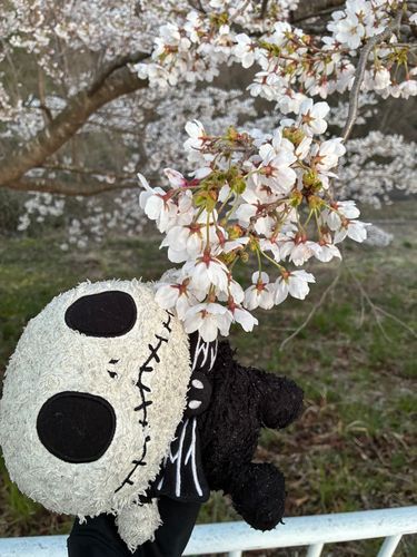 わーい！