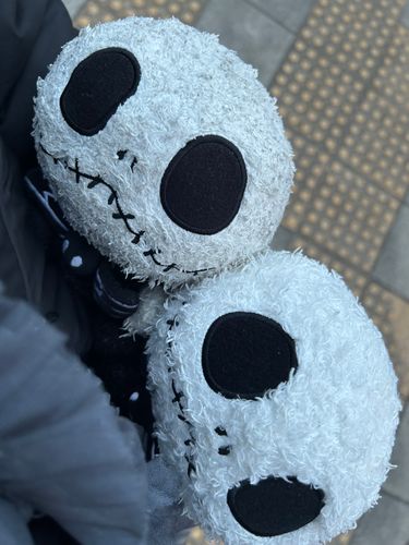 お出かけ前のぱやとぽや🎃🎃