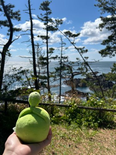 これは昔海沿いでキャンプしたときのお写真！☺️
すぼの後ろ姿かわいい🥰