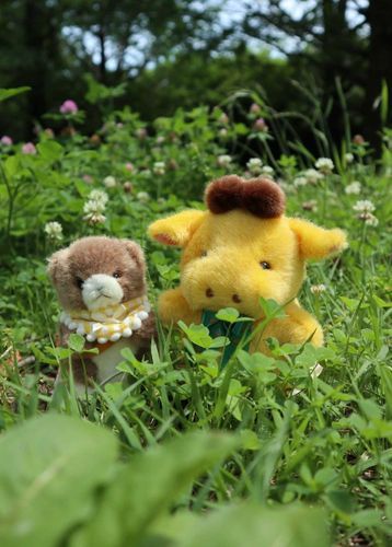 桐山です。
とても良い天気の日に撮った写真ですね。
隣は友人のグリズリー（仮）くんです。
とても気に入ってる写真なので投稿致します、B0Bは不在ですね。