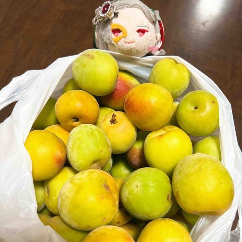 だいはんにゃながみつ〖主人の職場で沢山南高梅を貰ったらしい……うん、俺は梅酒がいいなァ〗