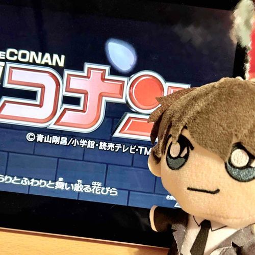 大きな課題がひとつ終わったので休息だよ🌸