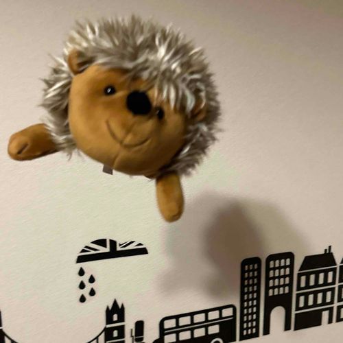初登場くん🦔 6年前友達とおそろいで買ったんだよね(◜ᴗ◝ )