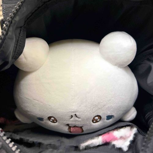 げーむせんたーからおうちに行くまでの帰り道、リュックの中にこの子がいるだけで最高の気持ちだった