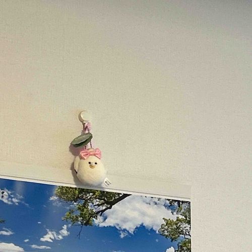 先日お迎えした牡蠣のあかちゃん🦪ですが、おばあちゃんのもとへひとりだちしました。いい子でな🥹