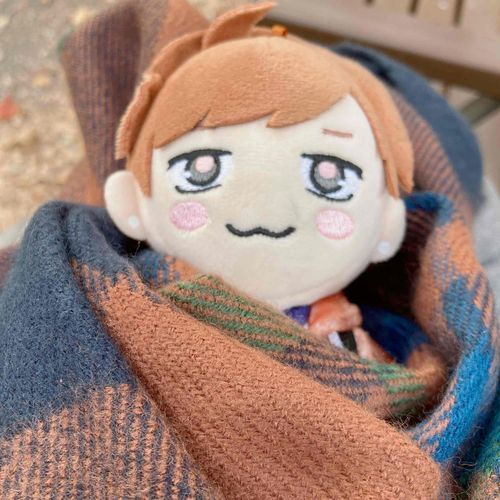 つつまれたらほかほかになってねむたくなったおれです。
