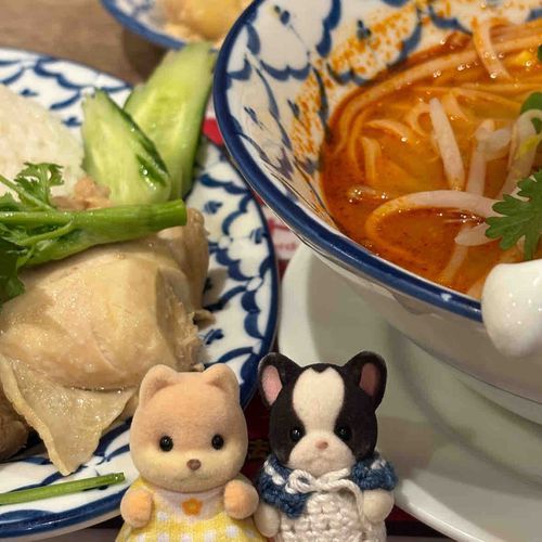 新しいおともだち、キャラメルイヌくんだよ！いぬなかま！