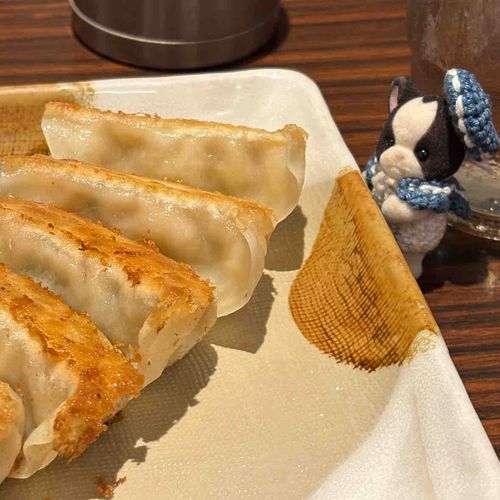 しずおかに連れていってもらったよー！ぎょうざって、かわいいかたち…