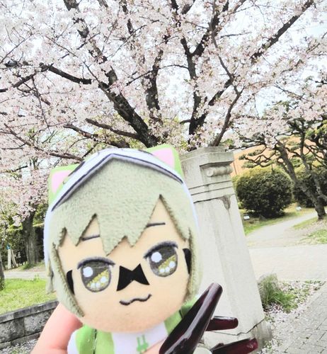 だいぶちってたよ