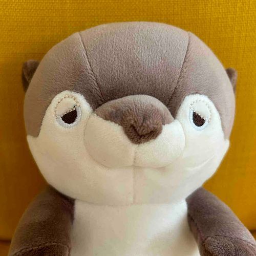 水族館しゅっしんのびよこ
コツメカワウソ
