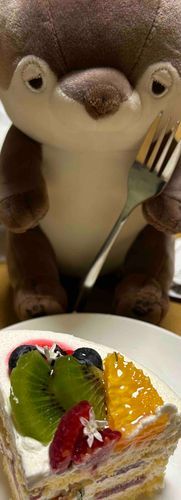 おはよう　昨日はケーキを食べたよ
とっても美味しかった〜！
今日は台風がくるんだって　みんな気をつけてね