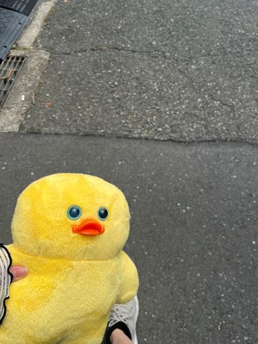 おでかけ