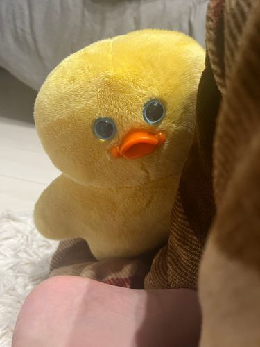 もじょ、、、？
