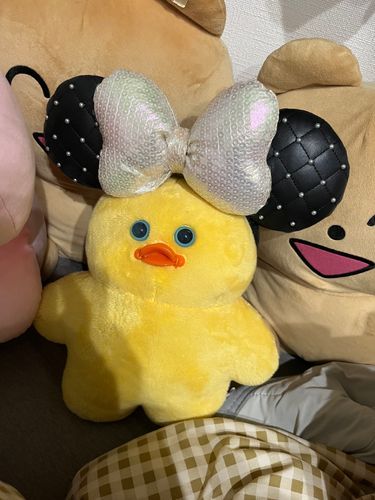 ディズニー置いていかれたもじょ、、、
