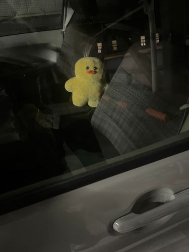 置いていくなもじょ‪、、、‼️