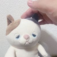 ねむちゃん