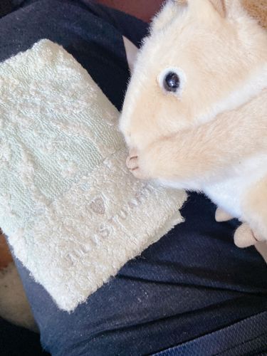 おかえり 🐿✨