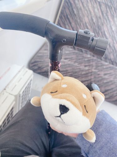 ぽんぽんぽん🎶