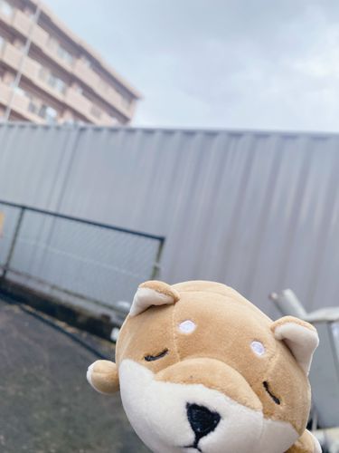 曇りだった