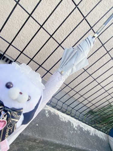 かさ を プレゼントしてもらった主
うれしそう いまもニコニコしてる
