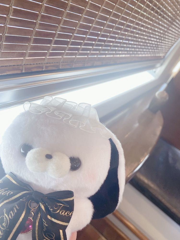 きょうは 主のおたんじょう日！
メンタルクリニックがんばるの
そのあとは月1実母なの( ᐢ, ,ᐢ)