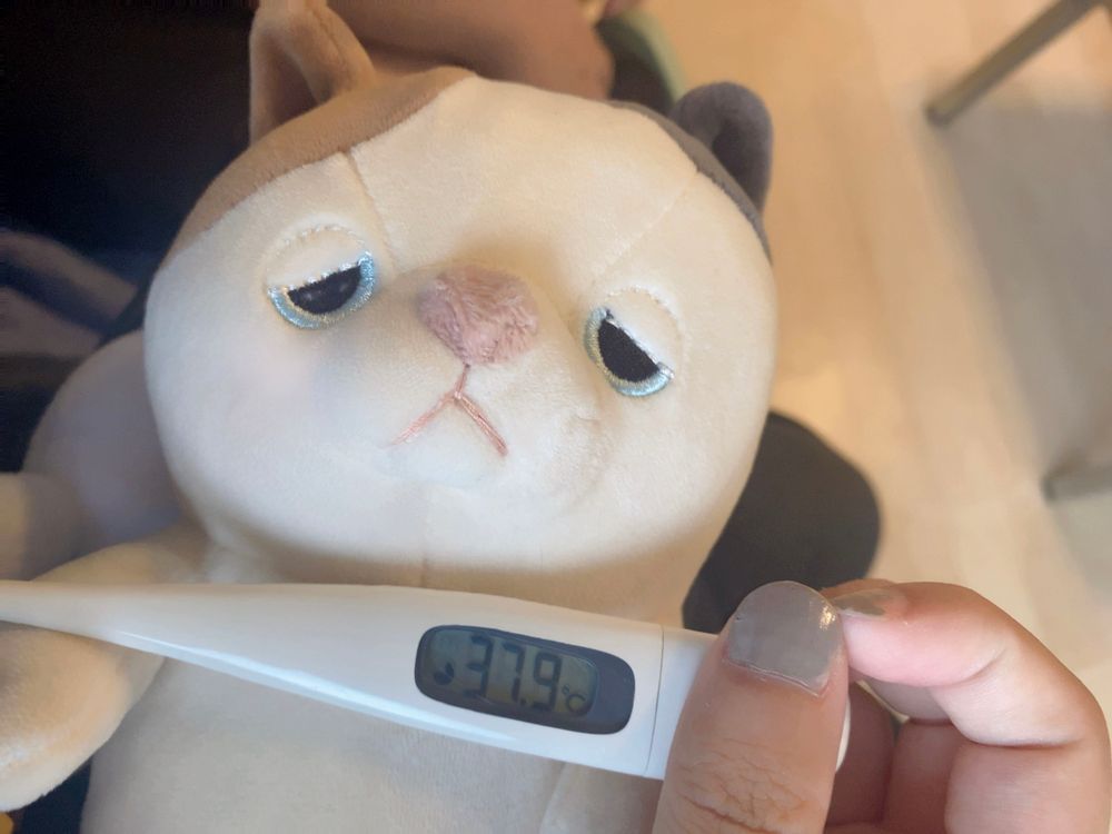 主  ねつ びょういん