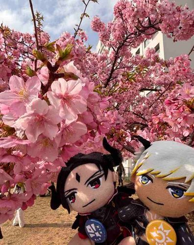 🌸🌸🌸