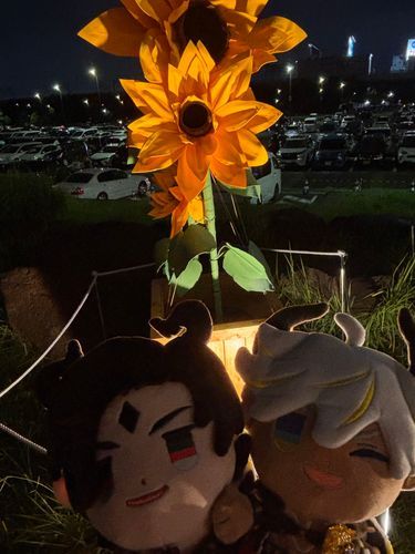 🌻