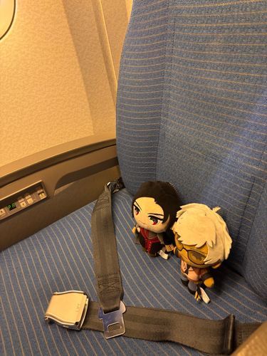 ✈️