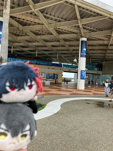 たぬ:こっちは水族館前での記念撮影。
ひぜ:おれたちがボケてやがる‪💢