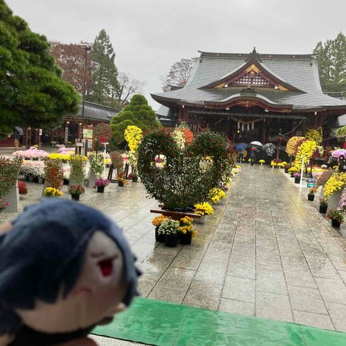 笠間稲荷神社の菊まつりに行った。生憎の雨だったな...