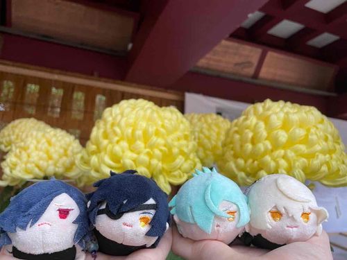 生憎の雨だったが、大きく綺麗な菊が咲いていた。
まさに一文字則宗の髪のようだった。
近侍仲間の燭台切と源氏の兄弟達とだ。