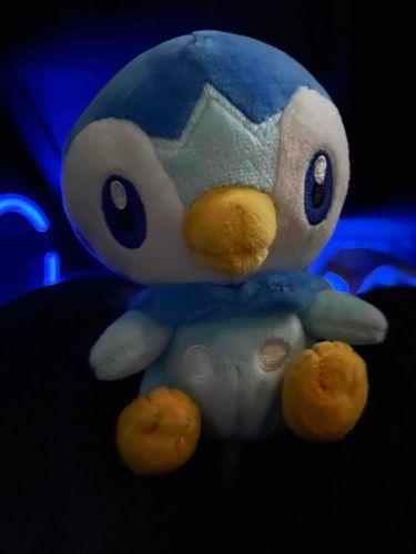 ドライブに連れてってもらったぽちゃ〜