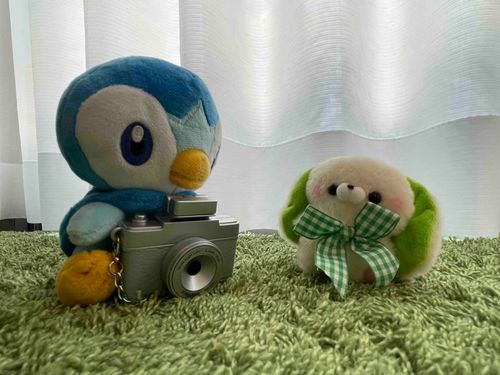 とろろカメラマンがよいくんを撮影中