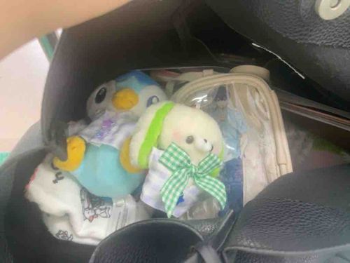 ヌシ昨日は面接でした、みんなついてきてくれてありがとうね。
