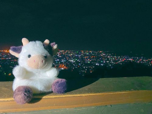2023/4/23 夜景が綺麗なところへ連れてってもらった🏙🌟