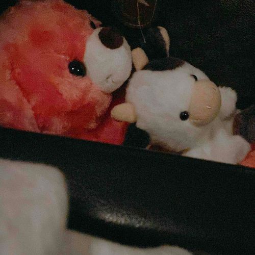 2023/10/17
初めての夜行バス🚌🌙

(優しい運転手さんが｢隣の席も空いてるから使って良いよ～！｣と言ってくださったのでのびのび過ごさせていただきました🧸‪ 𓈒𓏸)