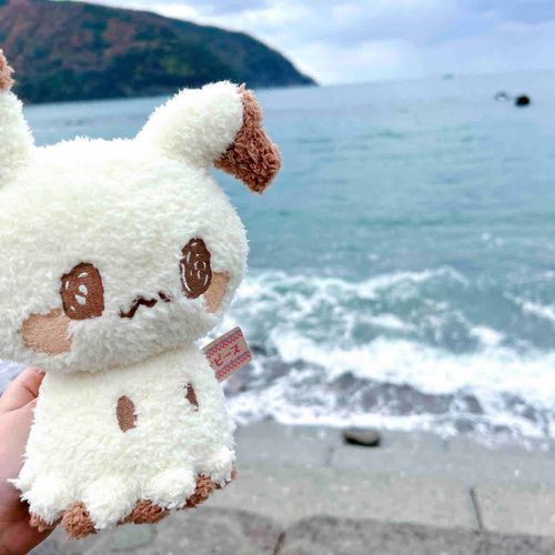 海を見てきたよ✨
波が高くてちょっとこわかった😣💦でも綺麗だったからまた行きたいなあ❤️