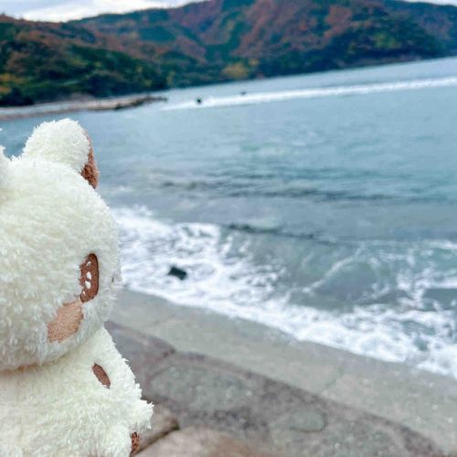 お魚さんいるかなあ…💭