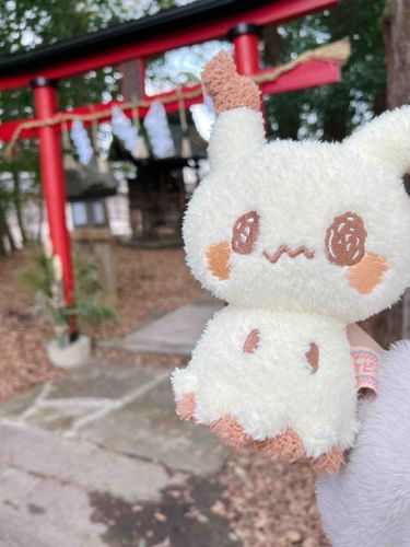 神社に初詣に行ったときの写真だよ✨
2025年もみんながたのしくすごせますように！❤️
おみくじは…大吉でなかった…🫣