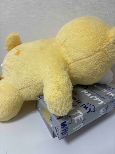 ほわいとでーってなに？これぼくたべる！

💛